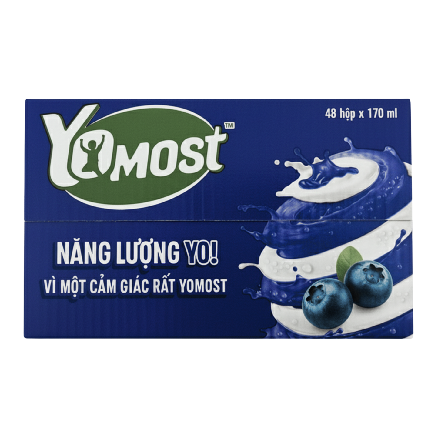 Yomost Yogurt Drink Mint & Blueberry Flavor 170ml