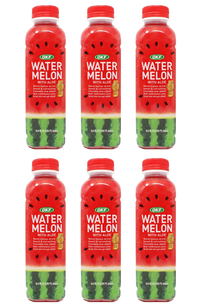 OKF Watermelon With Aloe 500ml