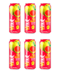 Vinut Guava Juice with Real Pulp 490ml