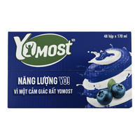 Yomost Yogurt Drink Mint & Blueberry Flavor 170ml