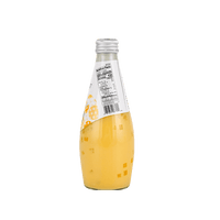 EVERGREEN Coconut Milk Drink with Nata De Coco Mango Flavor 9.8oz - A&E Foodstore