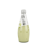 EVERGREEN Coconut Milk Drink with Nata De Coco Melon Flavor 9.8oz - A&E Foodstore