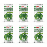 [Foco] Pennywort Thai Drink - A&E Foodstore