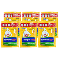 Salonpas Hot Capsicum Patch - A&E Foodstore