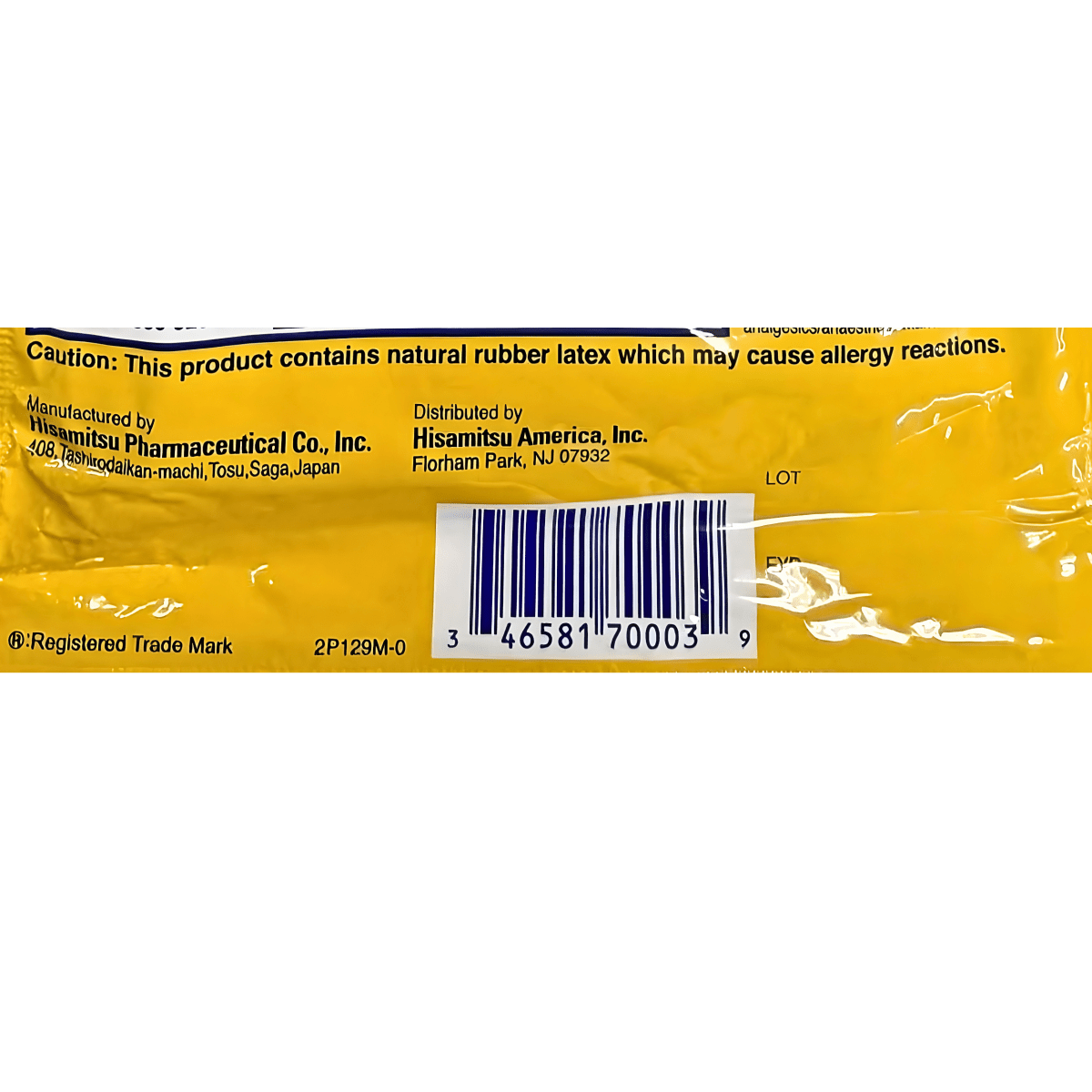 Salonpas Hot Capsicum Patch - A&E Foodstore