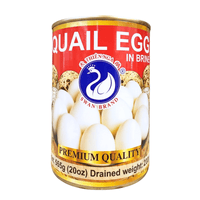 [Swan Brand] Quail Eggs in Brine - 20oz - A&E Foodstore