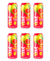 Vinut Guava Juice with Real Pulp 490ml - A&E Foodstore
