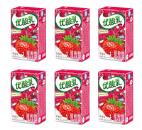 Yili Yogurt Strawberry Flavor 250ml - A&E Foodstore